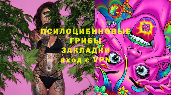 бошки Аркадак