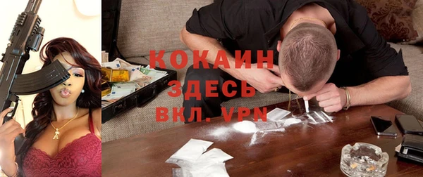 бошки Аркадак