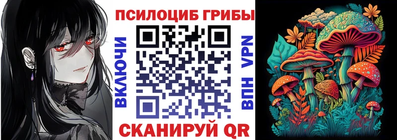 Псилоцибиновые грибы Cubensis Бабаево